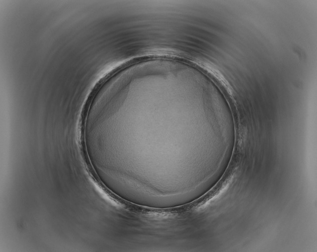 X0000112091037200908181259