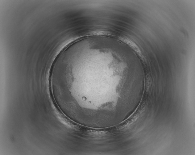 X0000112091039200908181259