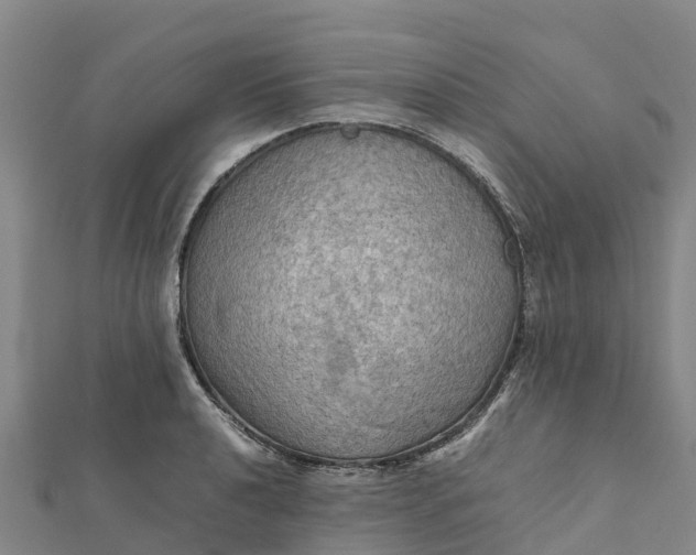 X0000112091040200908181259