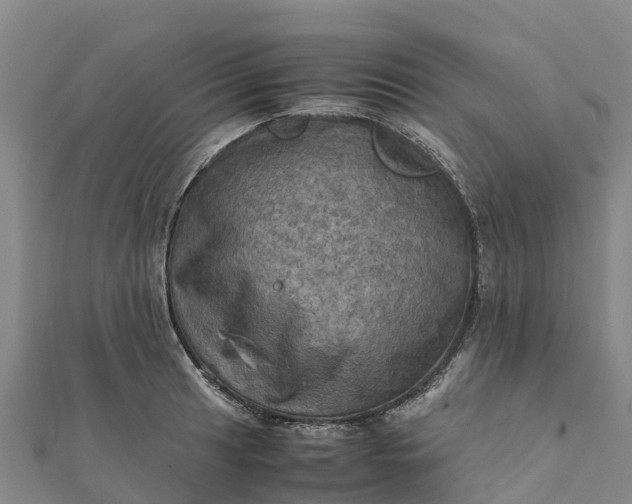 X0000112091041200908181259