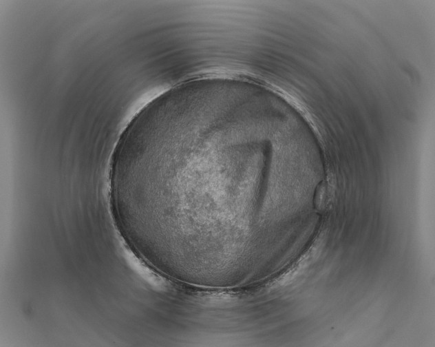 X0000112091042200908181259