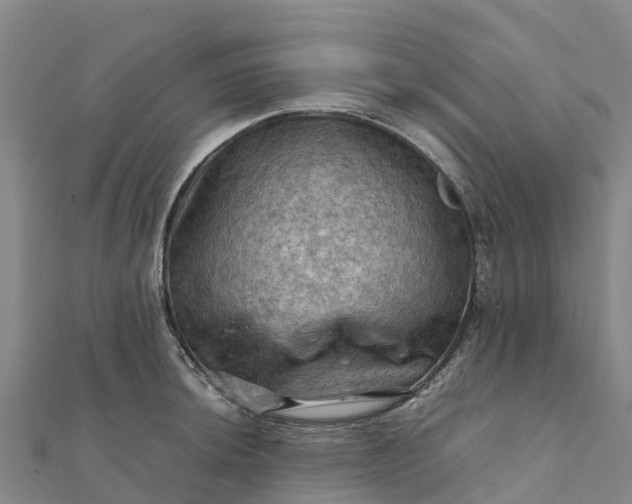 X0000112091044200908181259