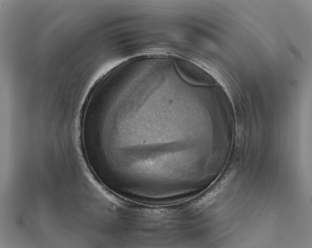 X0000112091045200908181259