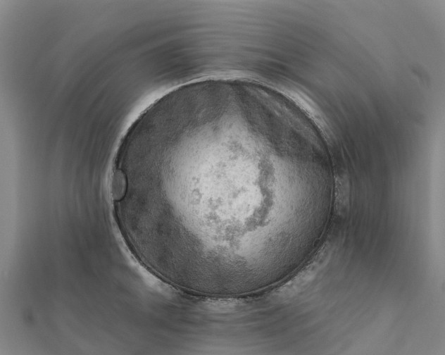 X0000112091046200908181259