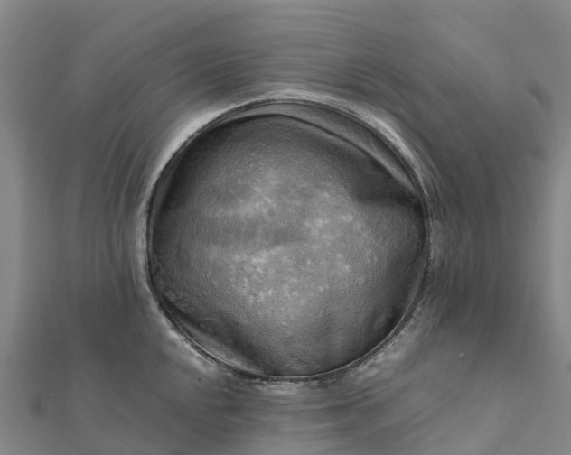 X0000112091048200908181300