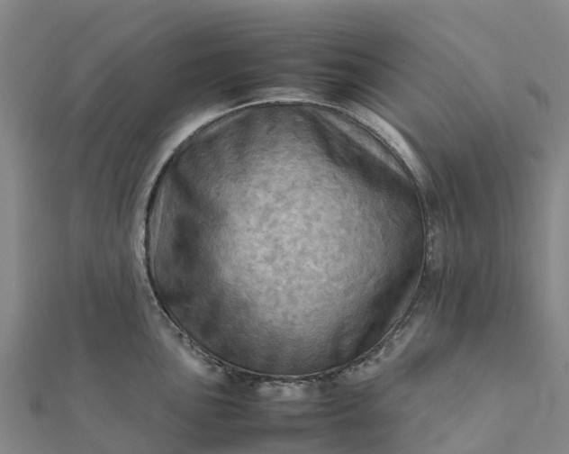 X0000112091051200908181300