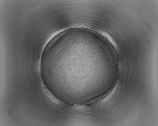 X0000112091052200908181300