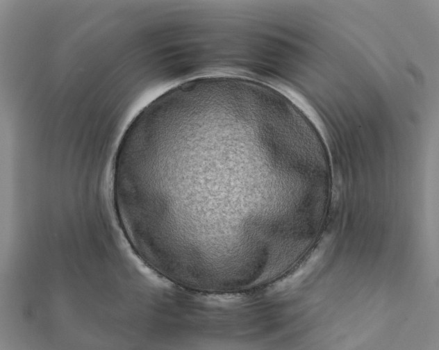 X0000112091053200908181300