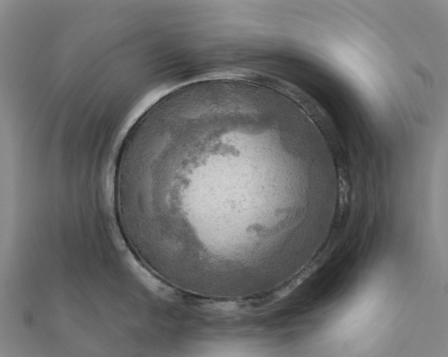 X0000112091054200908181300