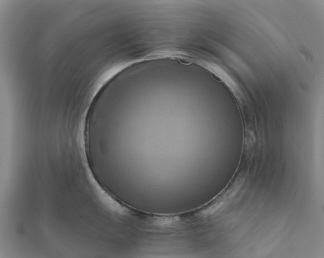 X0000112091055200908181300