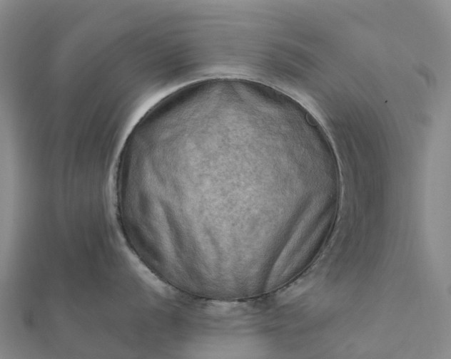 X0000112091056200908181300