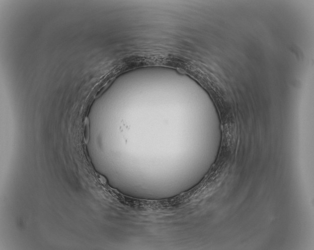 X0000112091057200908181259