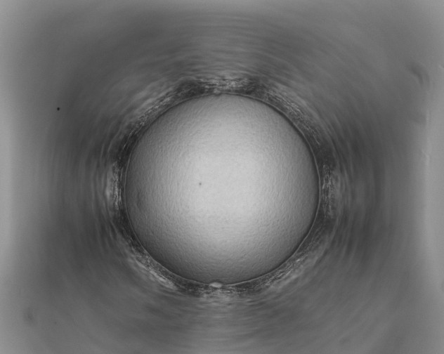 X0000112091058200908181259