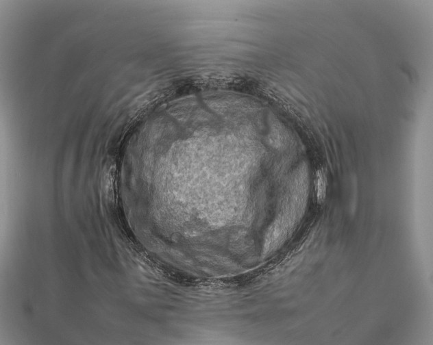 X0000112091059200908181259