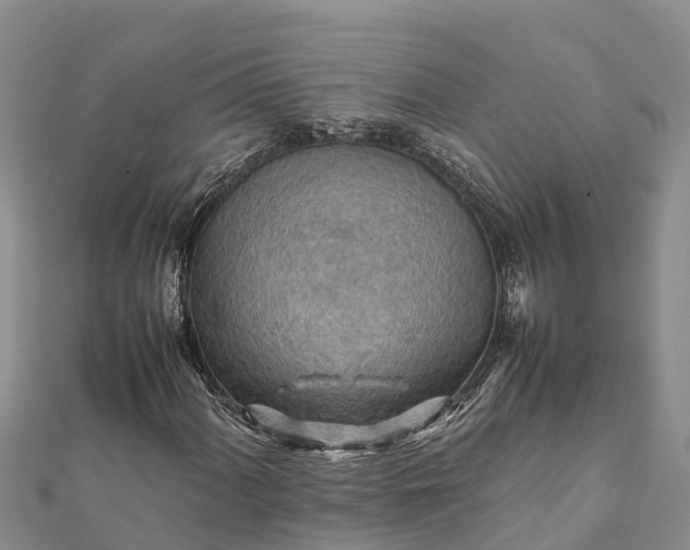 X0000112091060200908181259