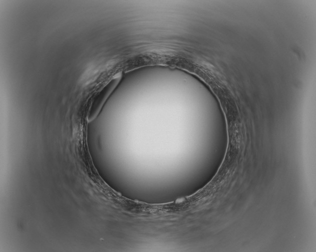 X0000112091061200908181259