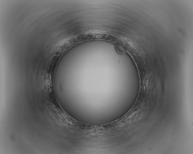 X0000112091062200908181259