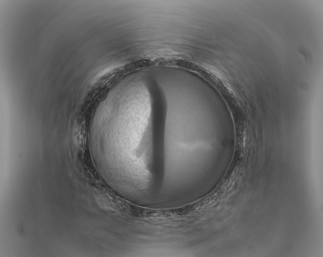 X0000112091063200908181259