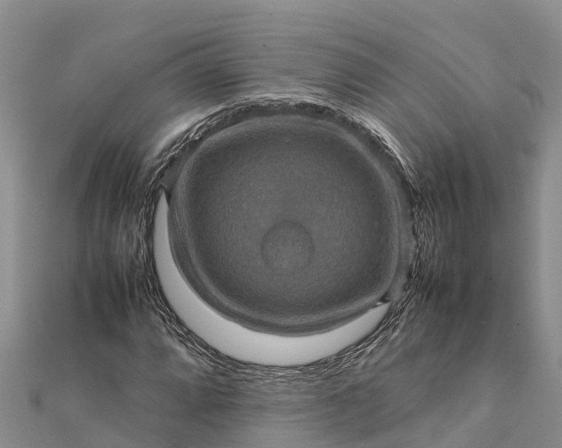 X0000112091064200908181259