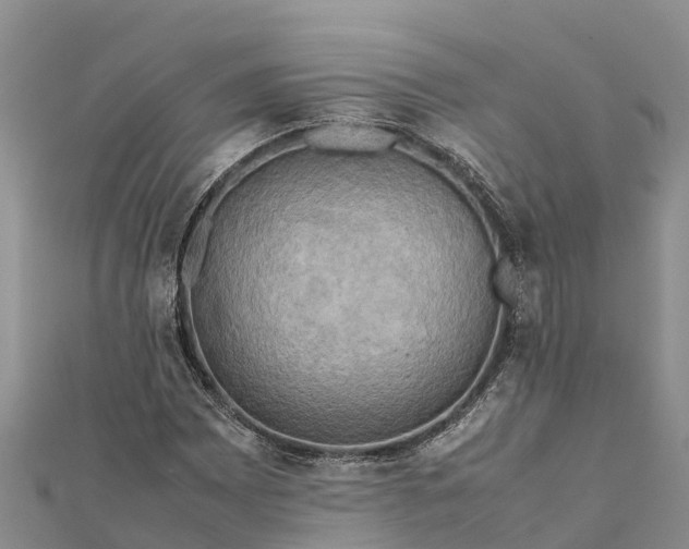 X0000112091065200908181259