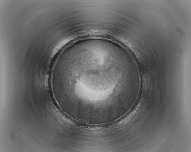 X0000112091066200908181259