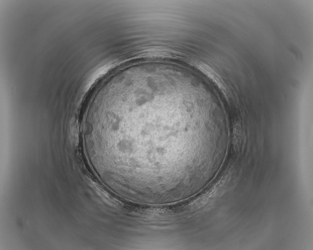 X0000112091067200908181259