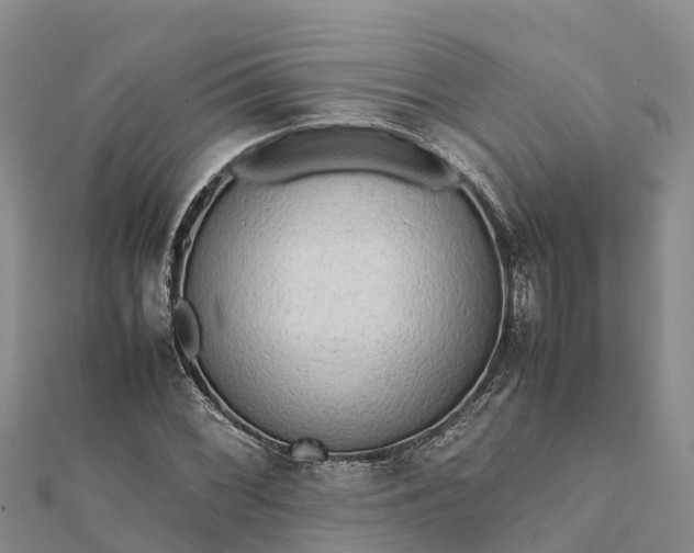 X0000112091068200908181259