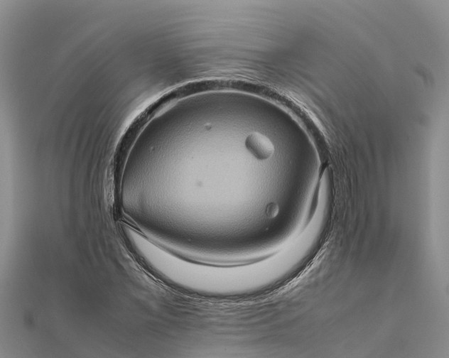 X0000112091069200908181259