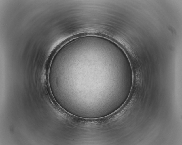 X0000112091070200908181259