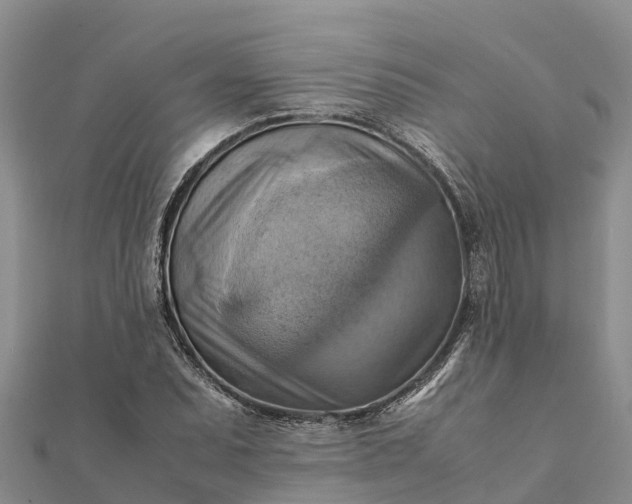 X0000112091071200908181259