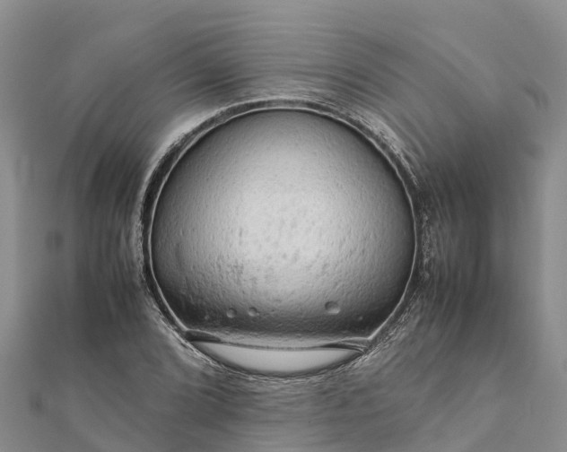 X0000112091072200908181259