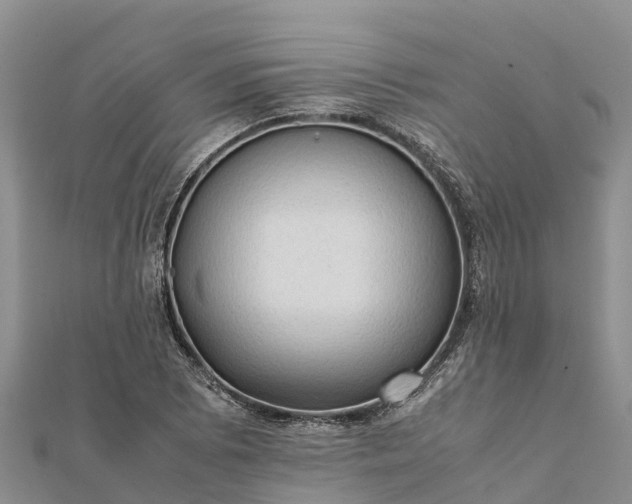 X0000112091073200908181259