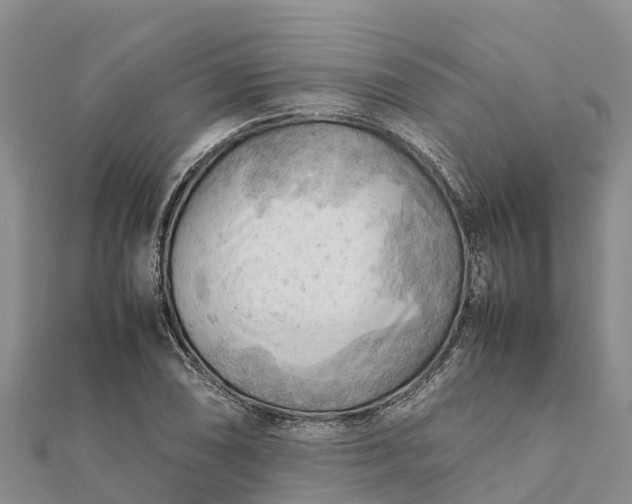 X0000112091074200908181259