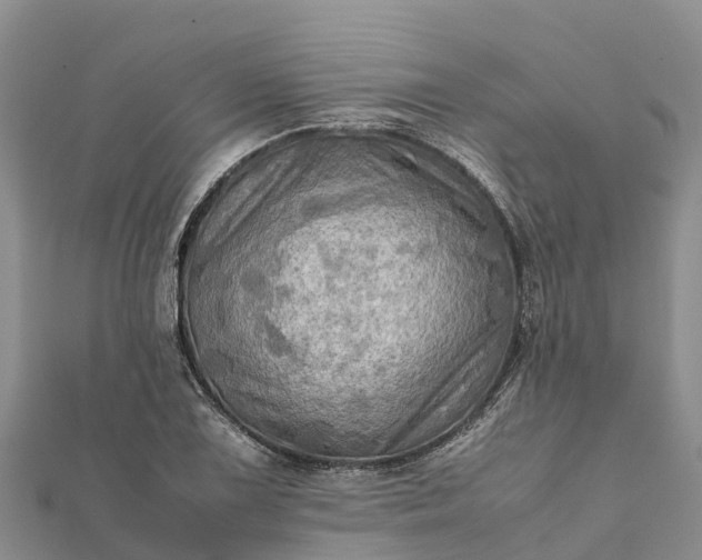 X0000112091075200908181259