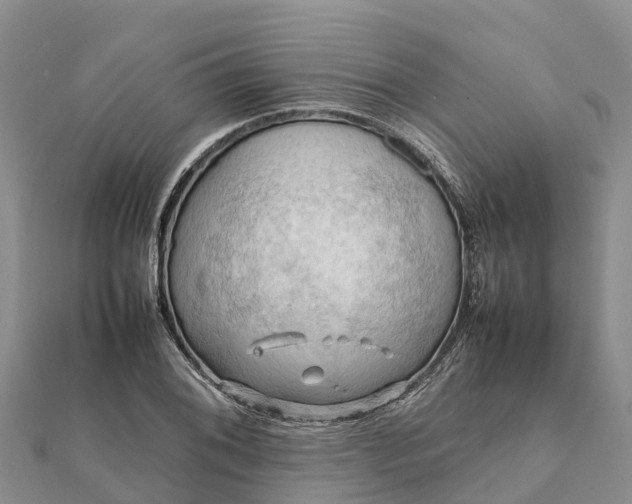 X0000112091076200908181259