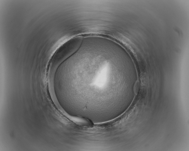 X0000112091077200908181259