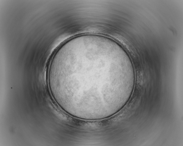 X0000112091078200908181259