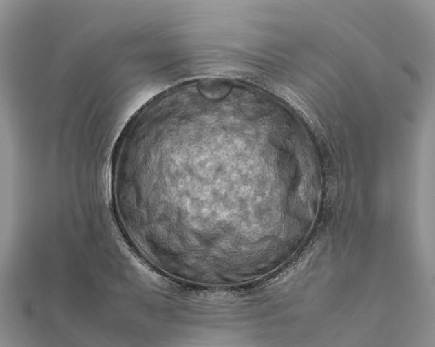 X0000112091079200908181259