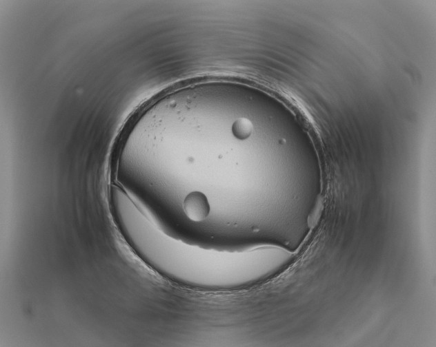 X0000112091080200908181259