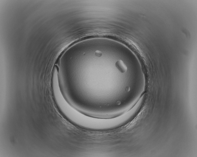 X0000112091081200908181259