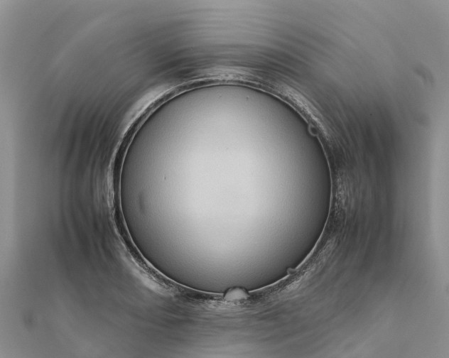 X0000112091082200908181259