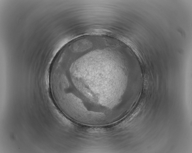 X0000112091083200908181259