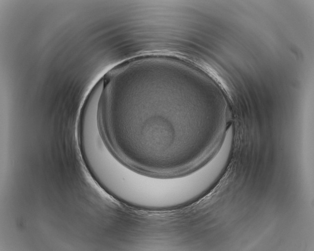 X0000112091084200908181259