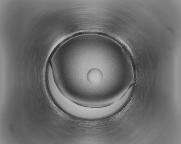 X0000112091085200908181259