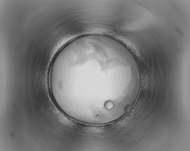 X0000112091086200908181259