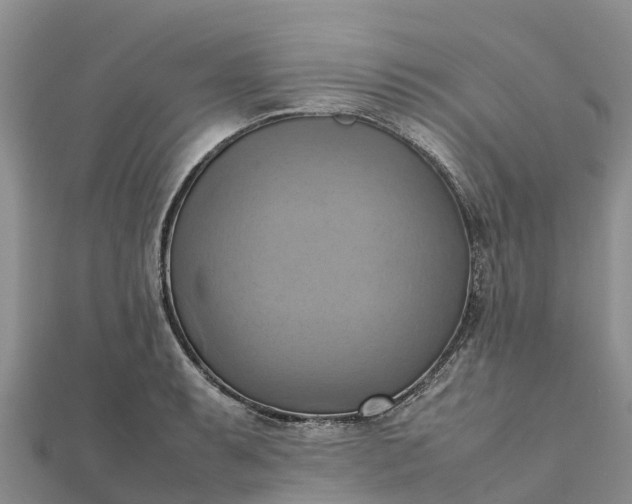 X0000112091087200908181259