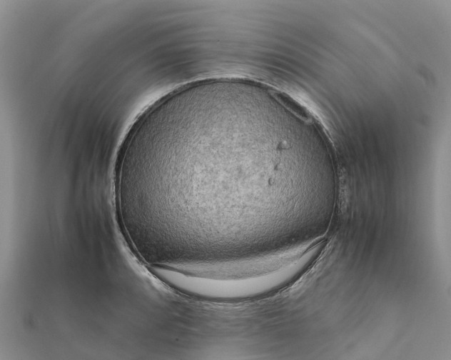 X0000112091088200908181259