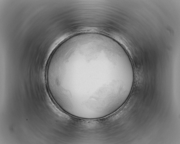 X0000112091090200908181259