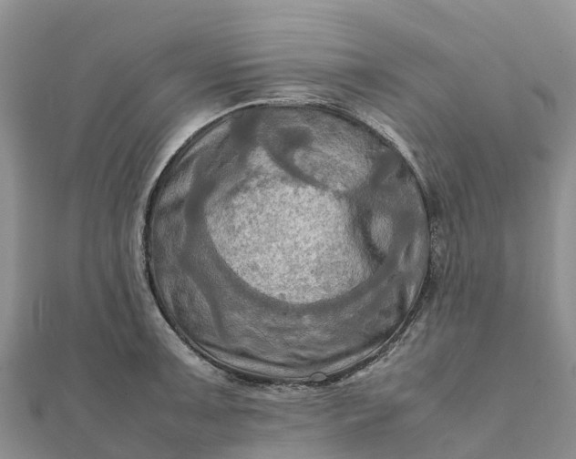 X0000112091091200908181259