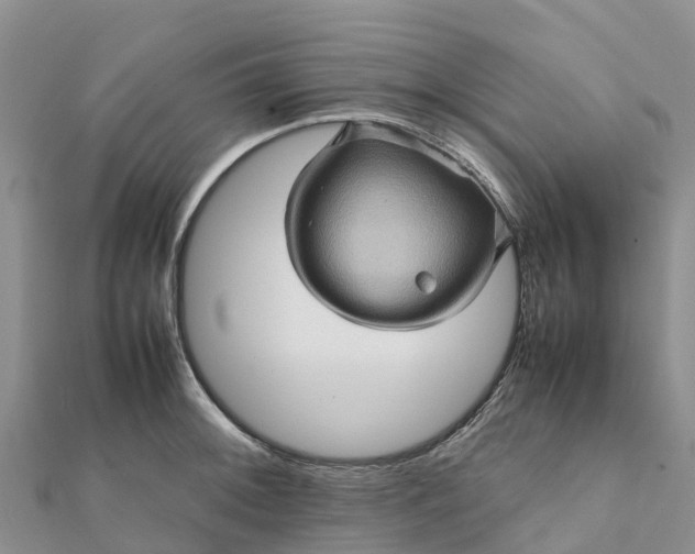 X0000112091092200908181259